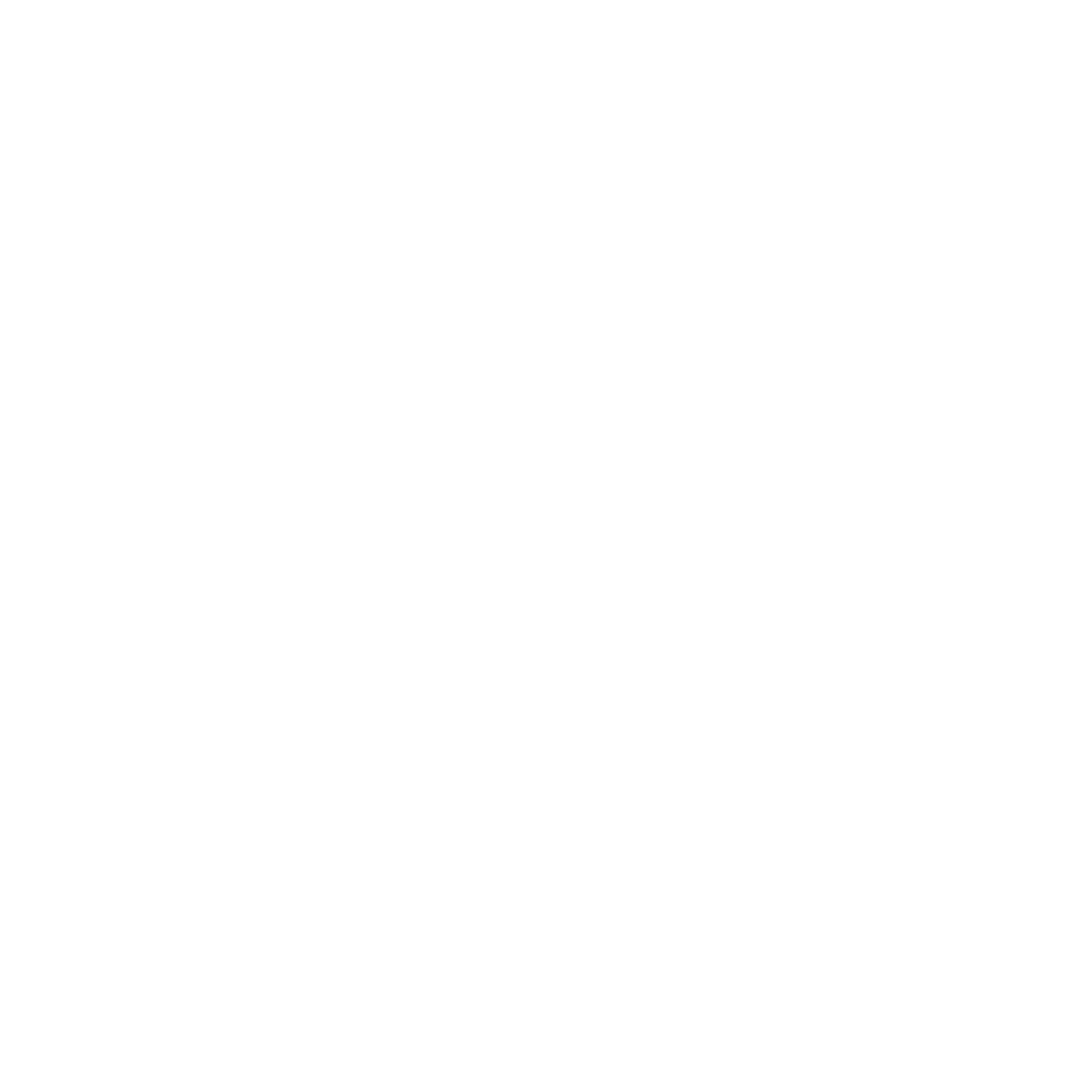QNS-Logo-Weiß