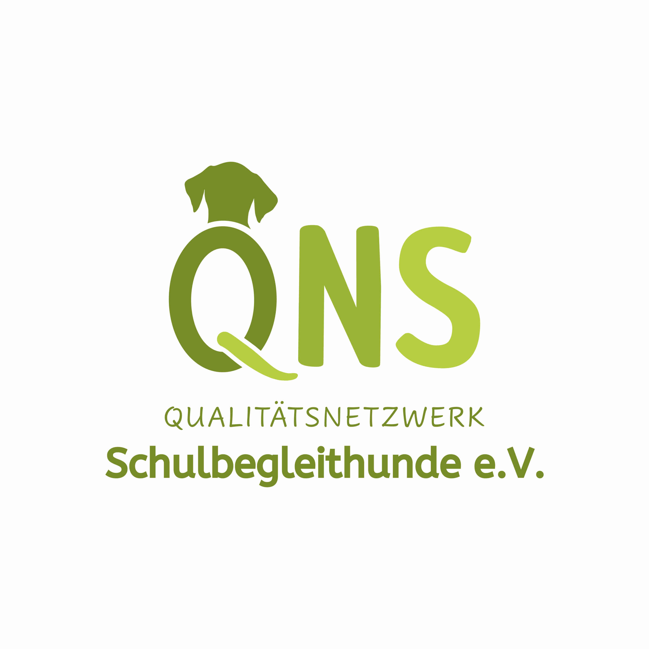 QNS-Logo